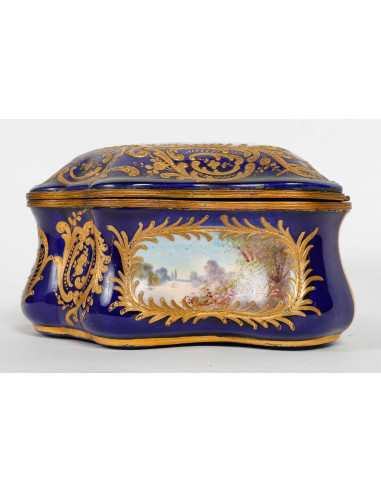 Caixa de porcelana de Sèvres, século...