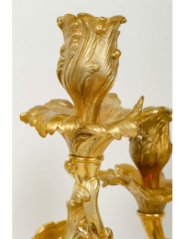 Paire de Candélabres en Bronze Doré...