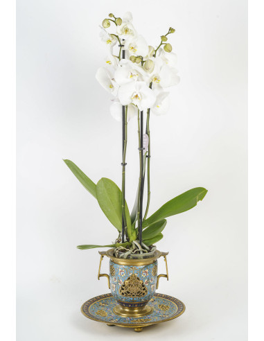 一对镀金青铜珐琅高脚杯或花盆，署名 F. Barbedienne，19...
