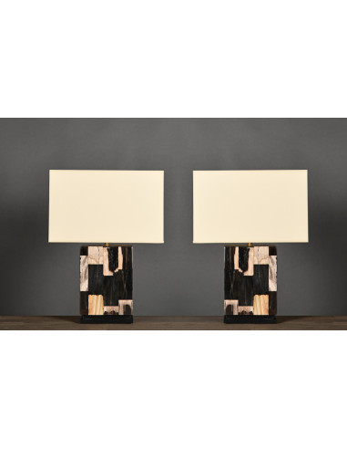 Pair of petrified wood table lamps,...