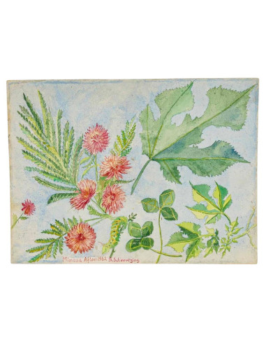 纸上水彩画，双面绘画，1962 年。