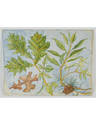纸上水彩画，双面绘画，1962 年。