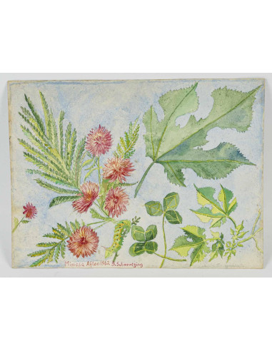 纸上水彩画，双面绘画，1962 年。