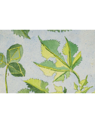 纸上水彩画，双面绘画，1962 年。