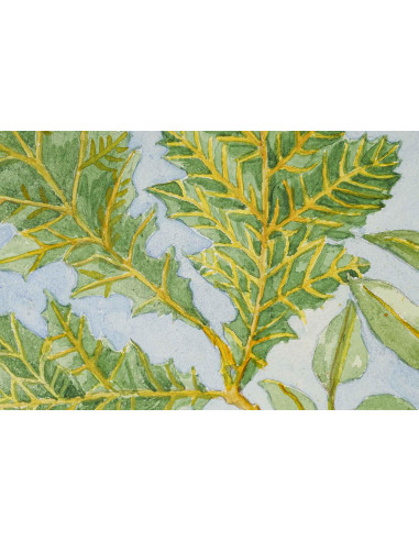 纸上水彩画，双面绘画，1962 年。