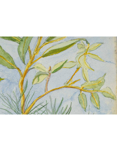 纸上水彩画，双面绘画，1962 年。