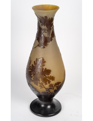 盖莱花瓶，新艺术时期，珍珠粉，1900 年，已签约。
