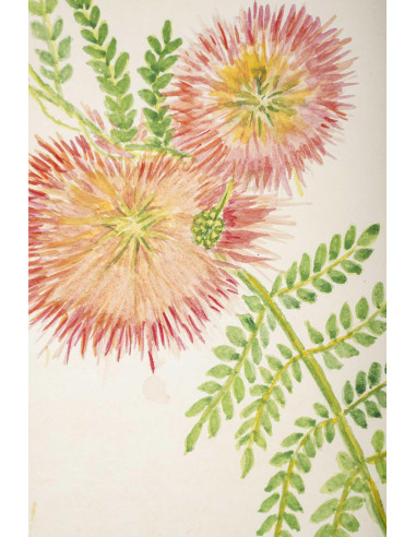 美国小幅花卉水彩画，20 世纪。