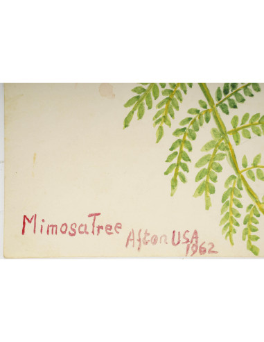 美国小幅花卉水彩画，20 世纪。