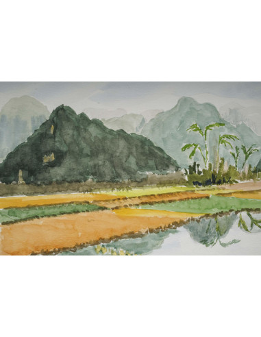 亚洲风景中的水稻种植园水彩画，20 世纪。