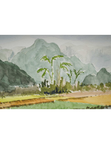 亚洲风景中的水稻种植园水彩画，20 世纪。