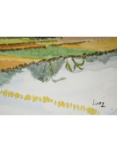 亚洲风景中的水稻种植园水彩画，20 世纪。