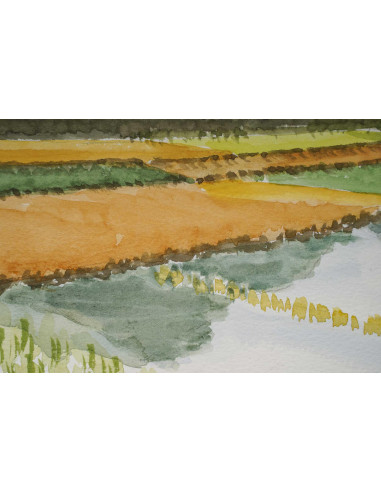 亚洲风景中的水稻种植园水彩画，20 世纪。