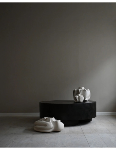 Model big coffee table in coffee...