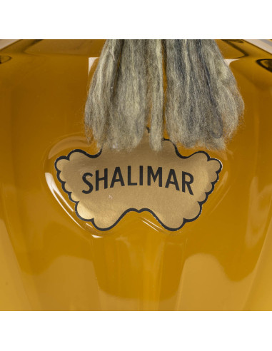 娇兰香水 Shalimar 的重要装饰瓶，1970 年。
