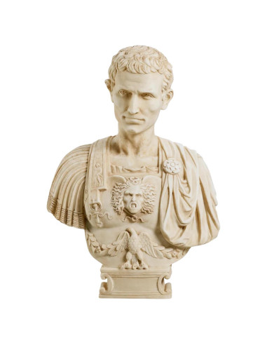 Marble bust representing Julius...