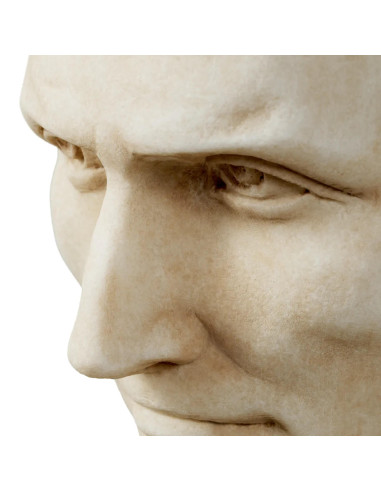 Marble bust representing Julius...
