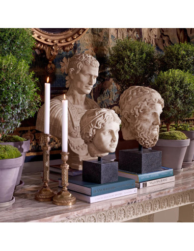 Marble bust representing Hermes,...