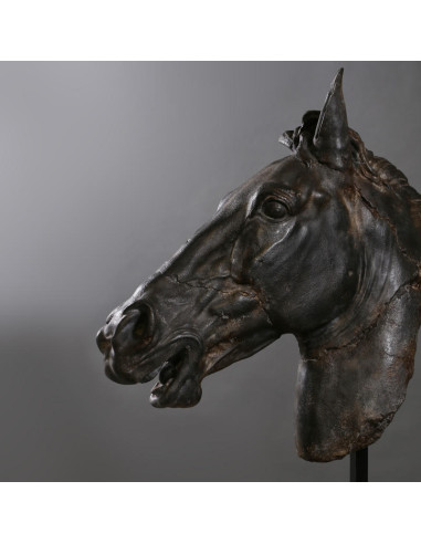 Groot beeld van een zwart paardenhoofd.