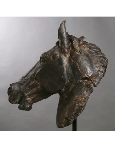 Groot beeld van een zwart paardenhoofd.