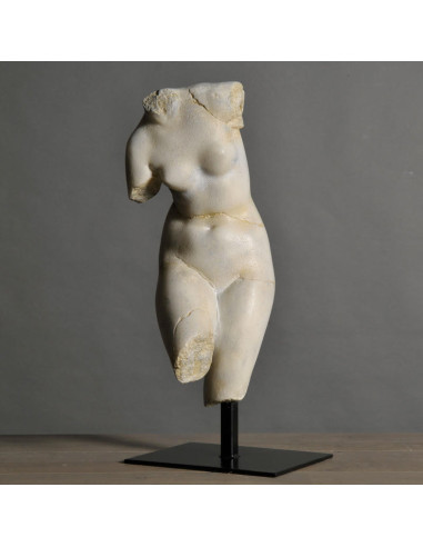 Venus sculpture in resin and metal...