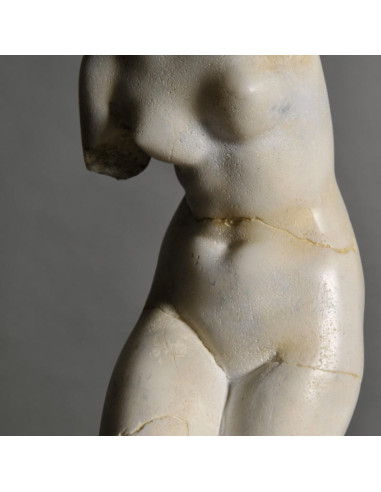 Venus sculpture in resin and metal...