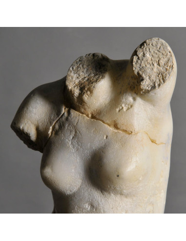 Venus sculptuur van hars en metalen...