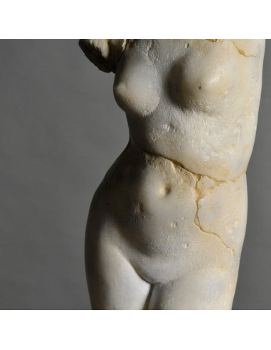 Venus sculpture in resin and metal...