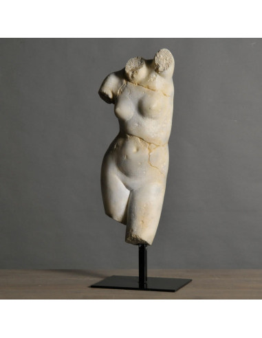 Venus sculpture in resin and metal...