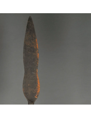 喀麦隆部落的传统黑铁长矛（Tikar spear）。