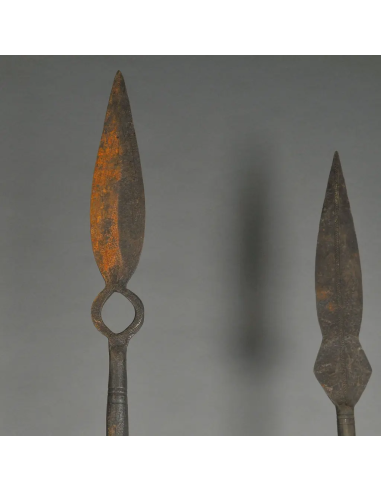 喀麦隆部落的传统黑铁长矛（Tikar spear）。