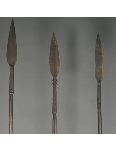 喀麦隆部落的传统黑铁长矛（Tikar spear）。