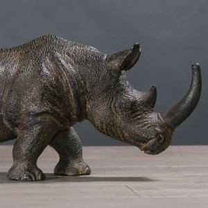 Naturalistic rhinoceros... 2