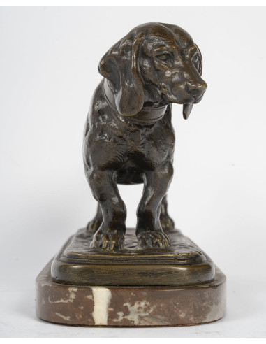 巴塞特猎犬青铜雕塑，青铜漆面，署名 Barye。