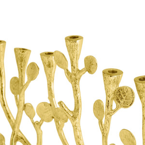 Menorah, modelo botánico,... 2