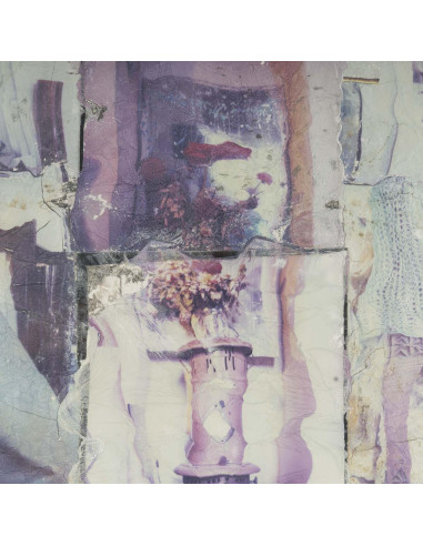 当代作品，玻璃下、绘画和拼贴画，20 世纪。
