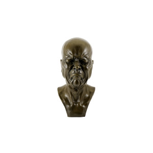 Busto de cabeza expresiva...