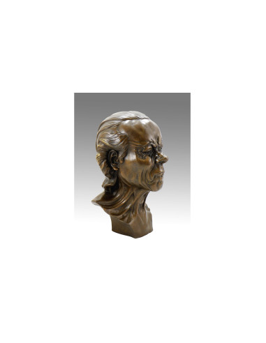 Bust of a character in patinated...