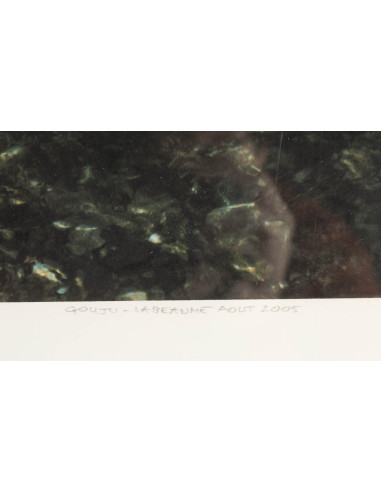 彩色照片，署名 Gouju-Labeaume，2005 年 8 月，玻璃下。