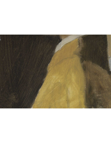 布面油画，未完成画作，Vermers 创作的《La jeune fille...