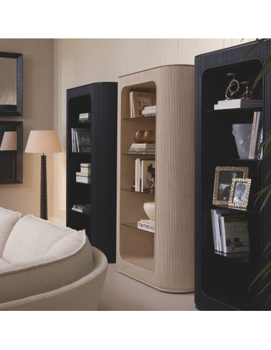 Boekenkast in fineer, eiken en glas,...