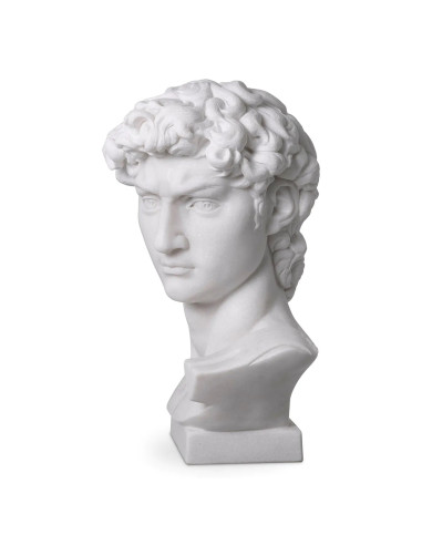 Buste de David en marbre blanc sculpté