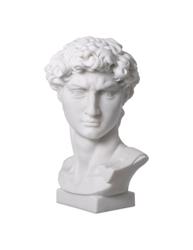 Busto de David em mármore branco...