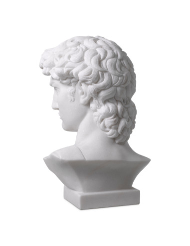 Busto de David em mármore branco...