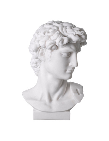 Buste de David en marbre blanc sculpté