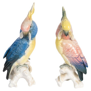 Pareja de loros de...
