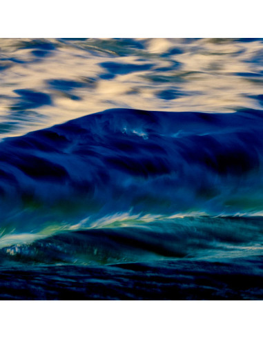 海洋艺术版画，出自Philippe Vogelenzang
