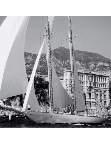 Современная фотография — морская...