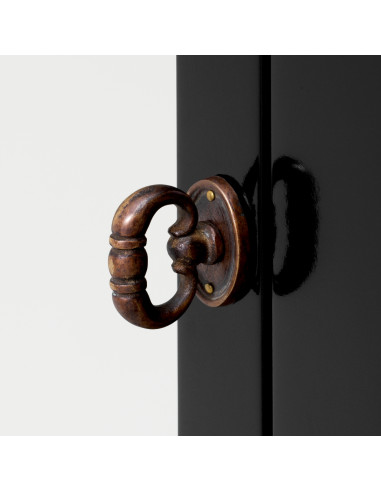 Storage cabinet with a polished black...