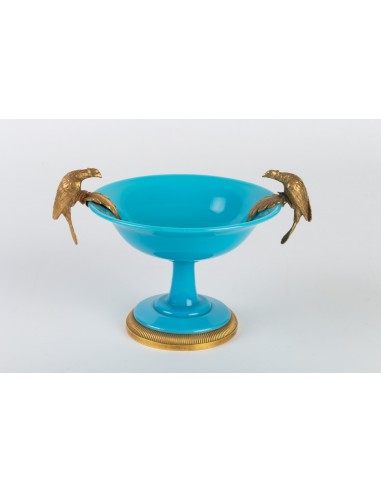 Zawodnik klubu Opaline Blue Turquoise Monté de Bronze